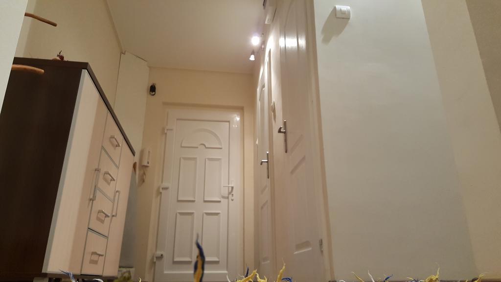 Aquarius Apartman سيغيد المظهر الخارجي الصورة