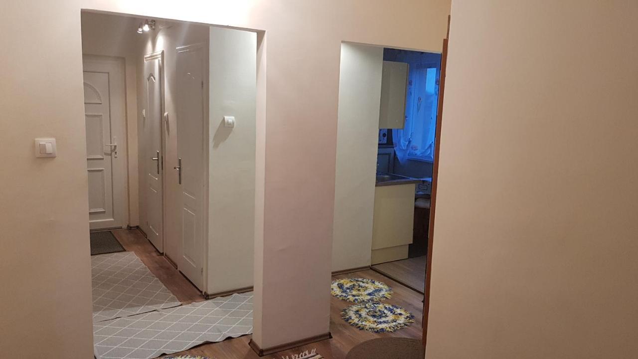 Aquarius Apartman سيغيد المظهر الخارجي الصورة