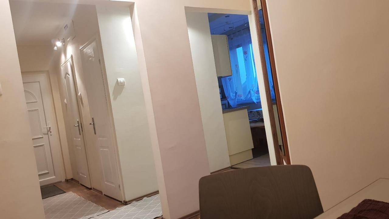 Aquarius Apartman سيغيد المظهر الخارجي الصورة