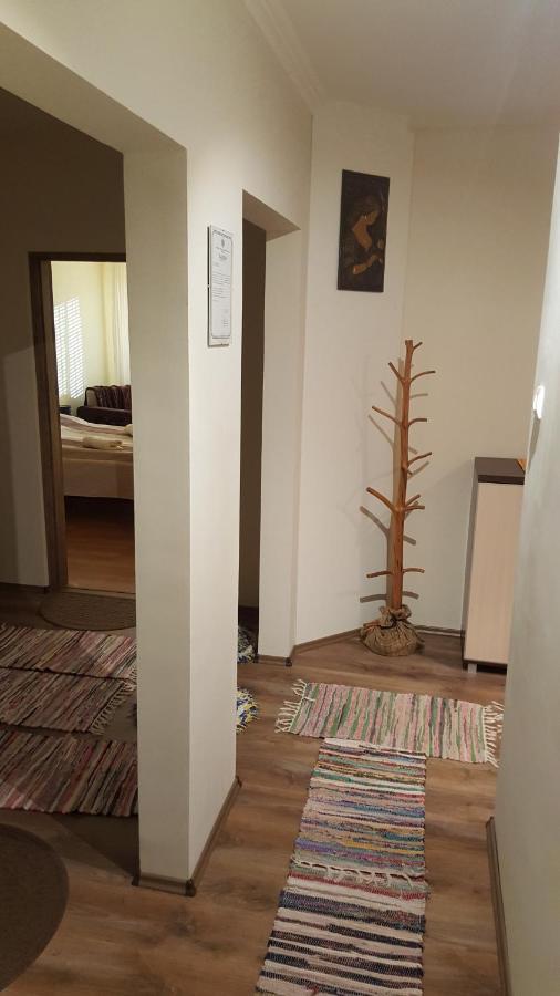 Aquarius Apartman سيغيد المظهر الخارجي الصورة